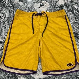 Nike 6.0 Men’s Swim Shorts